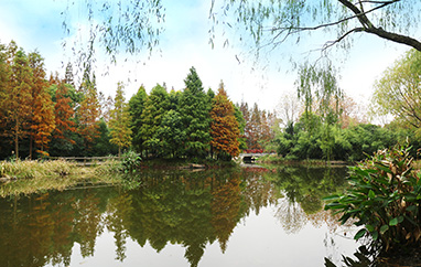 日常记录文章如何写得自然