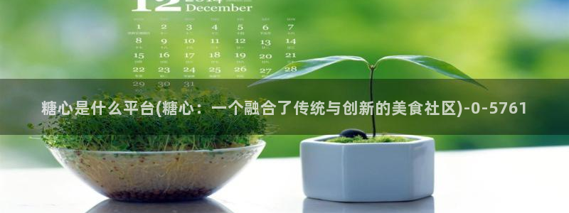 心糖vlog官网