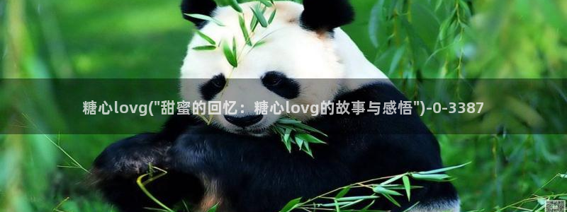 糖心vlog一区二区三区