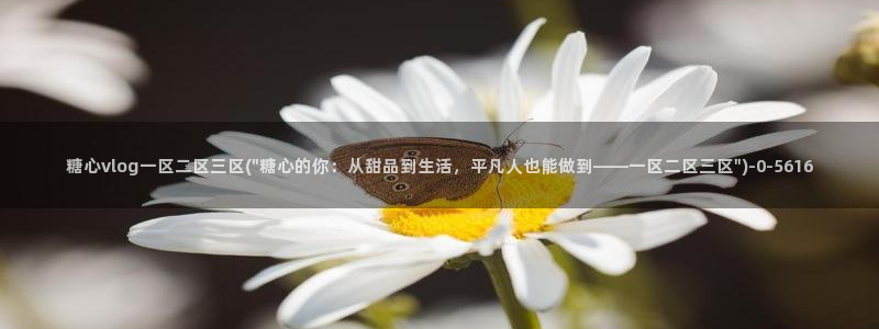 麻豆糖心vlog