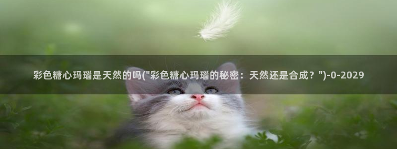 心糖vlogo