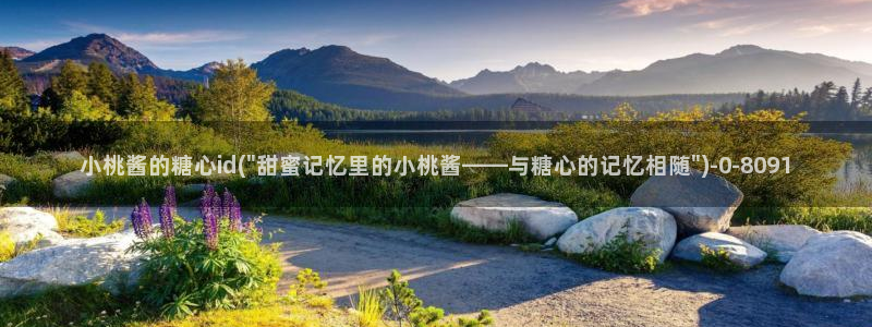 心糖vlog官网入口