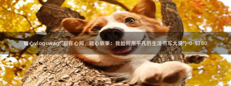 糖心vlog破解板