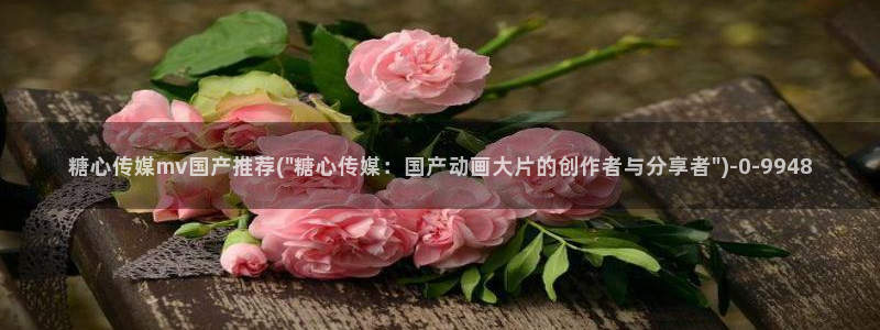 糖心vlog入口进入