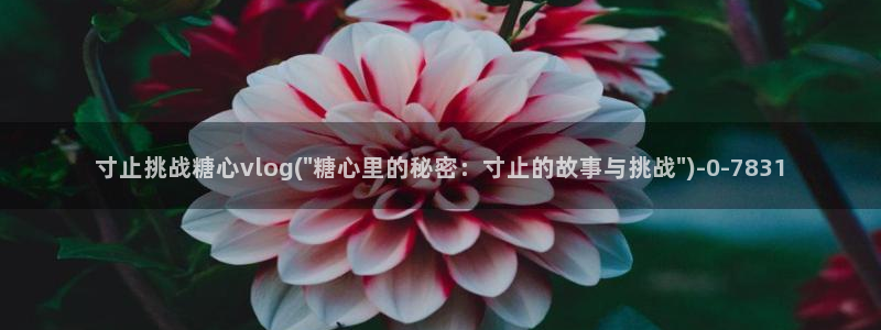 该看糖心vlog了