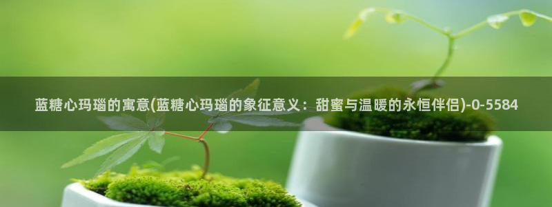 糖心vlog无限
