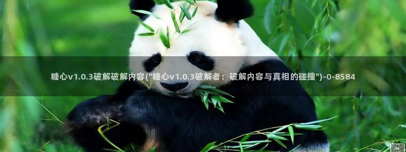 糖心vlog免