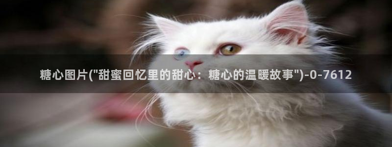 糖心vlog入