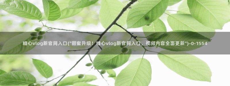 糖心vlog视频观看