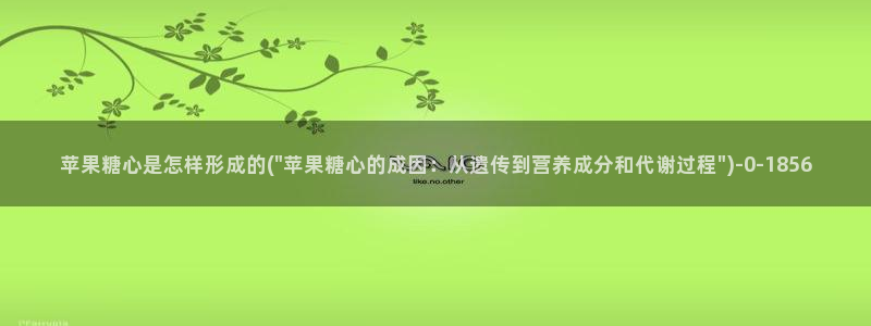心糖vlog破解版入口