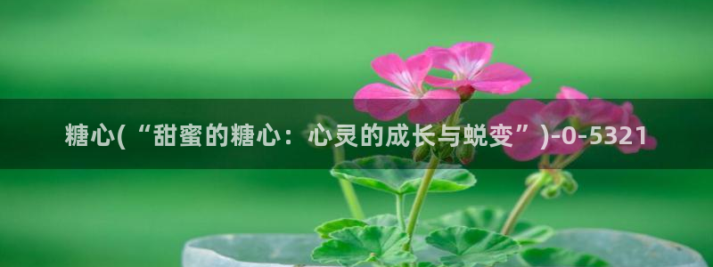 糖心vlog在线网址
