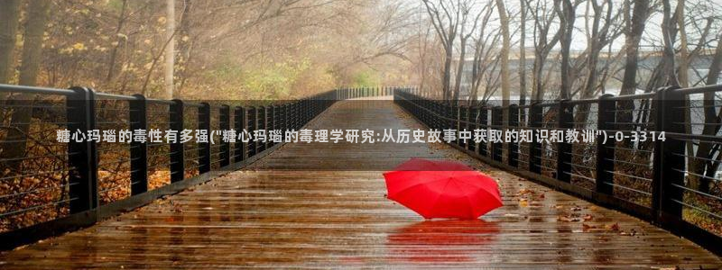 糖心vlog视频官网