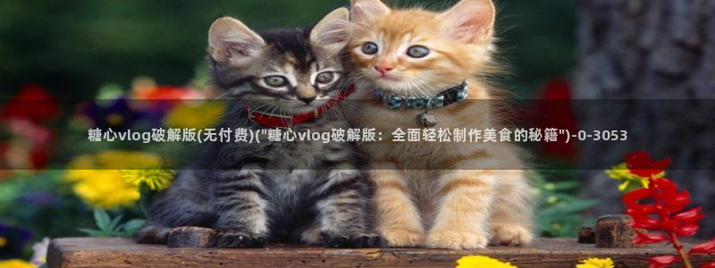 柚子猫糖心vlog