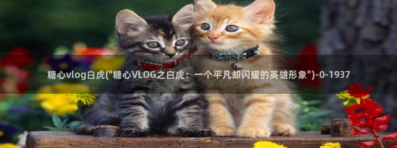 糖心免费vlog
